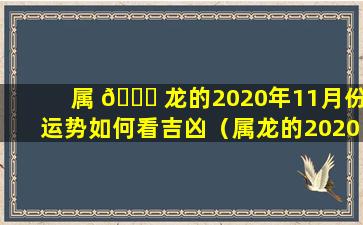 属 🐎 龙的2020年11月份运势如何看吉凶（属龙的2020年11月 🐘 份运势如何看吉凶和时辰）